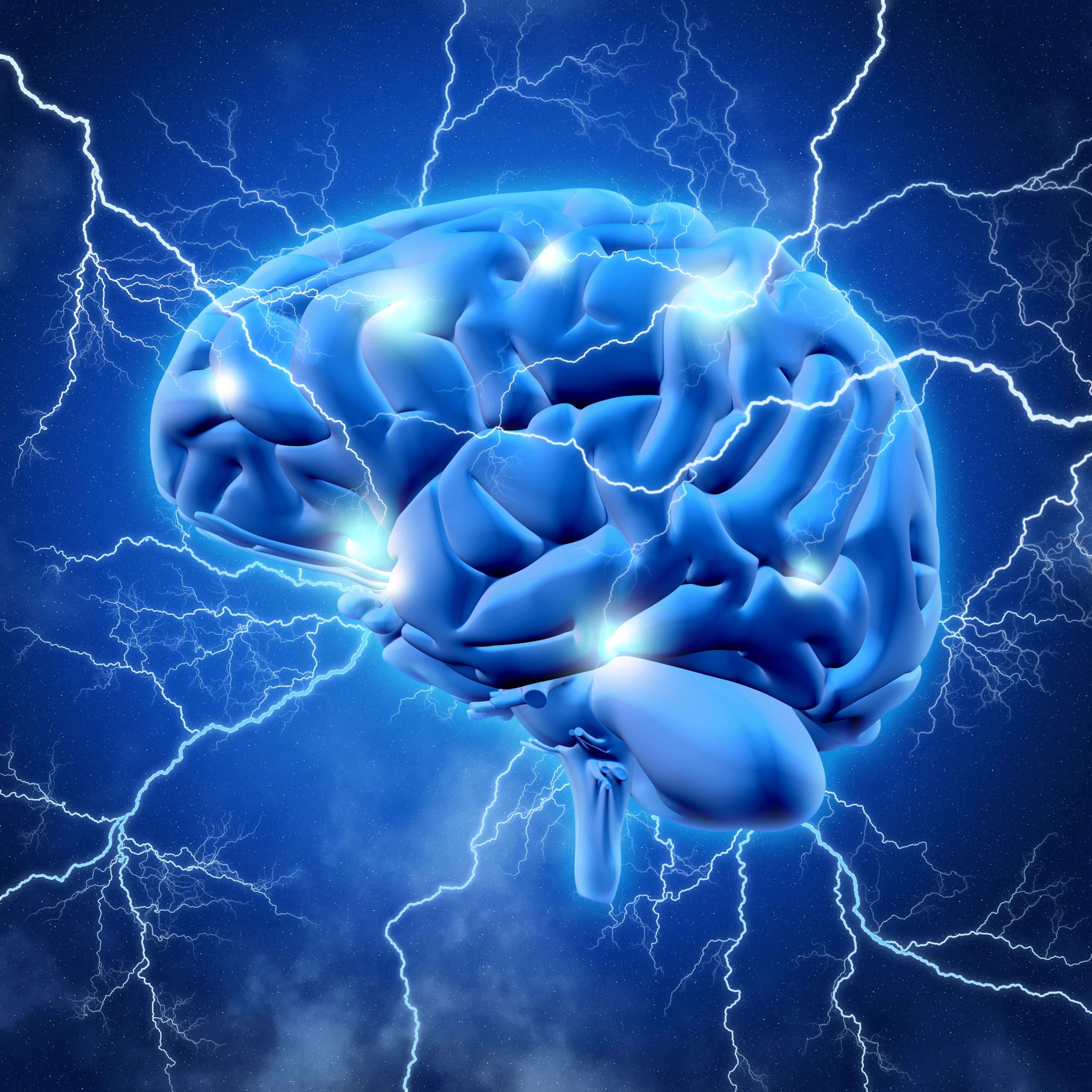 neurogenesi il ruolo dell'attività fisica
