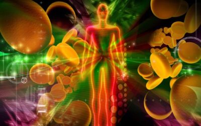 donare il sangue fa bene anche al donatore, ecco quali benefici genera a livello fisico e psicologico