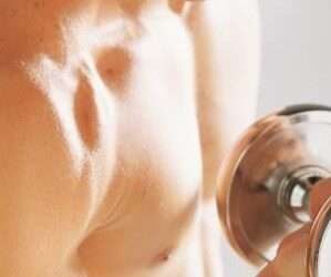 cellule satelliti e la loro funzione fondamentale per il recupero del muscolo