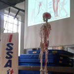 Corso di Fitness Posturale - Milano