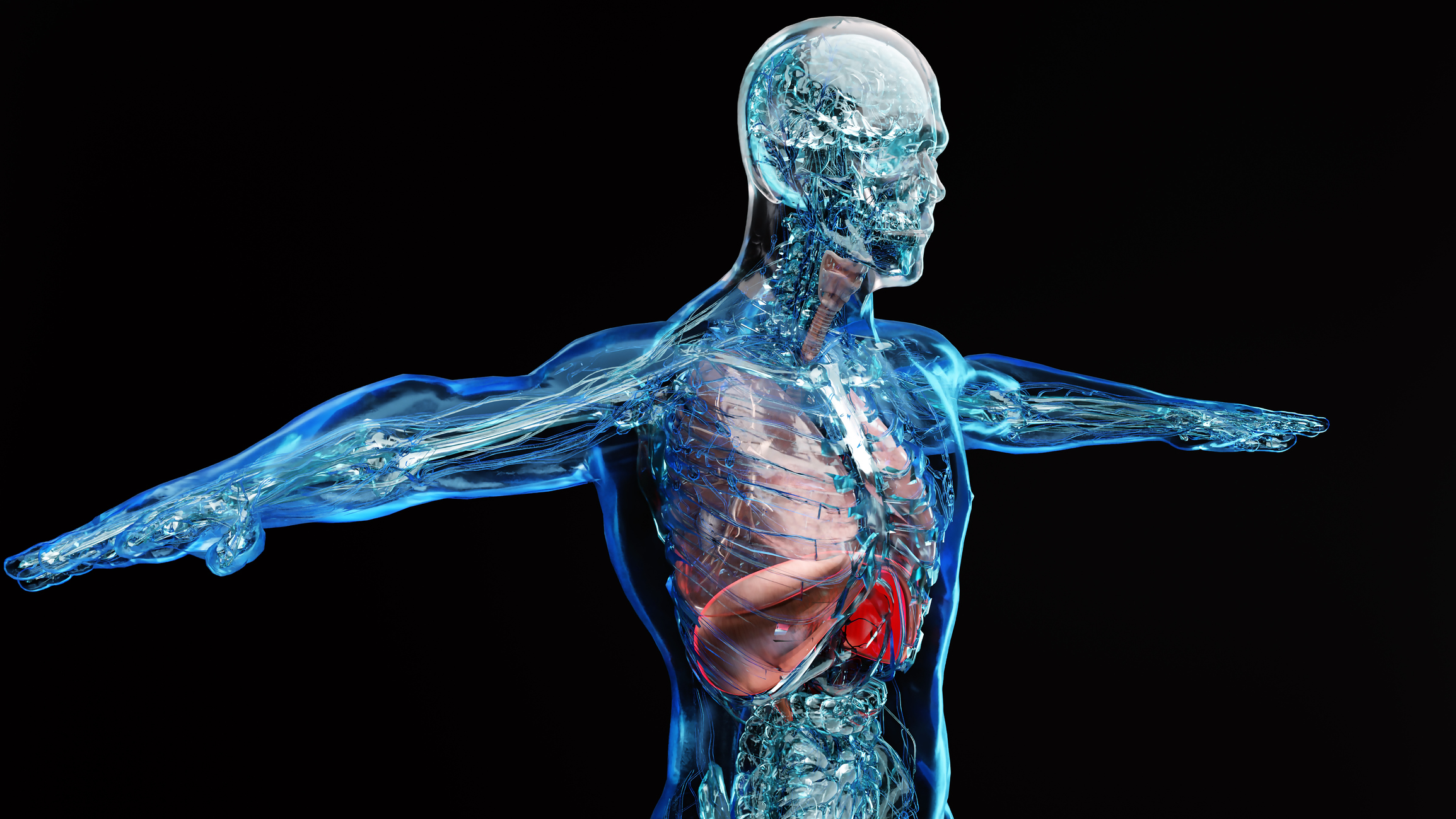 Fisiologia dell'esercizio e allenamento - ISSA Europe
