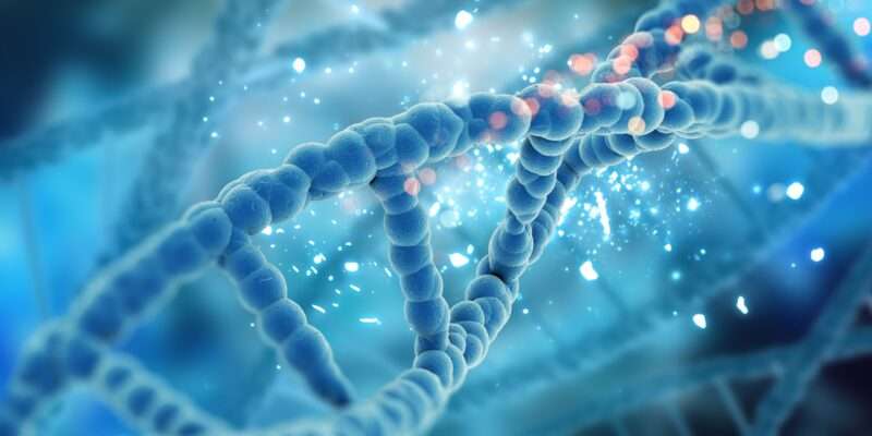 telomeri, ecco cosa sono, il loro ruolo nel processo di invecchiamento e quando e come è possibile allungarli