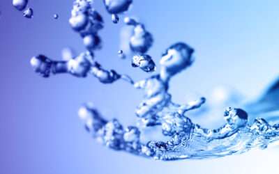 acqua intracellulare ecco come e perché mantenere un buon livello di idratazione