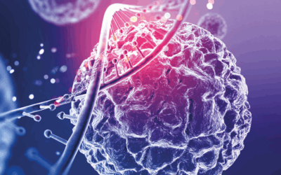 cellule staminali muscolari e ruolo della proteina CRIPTO