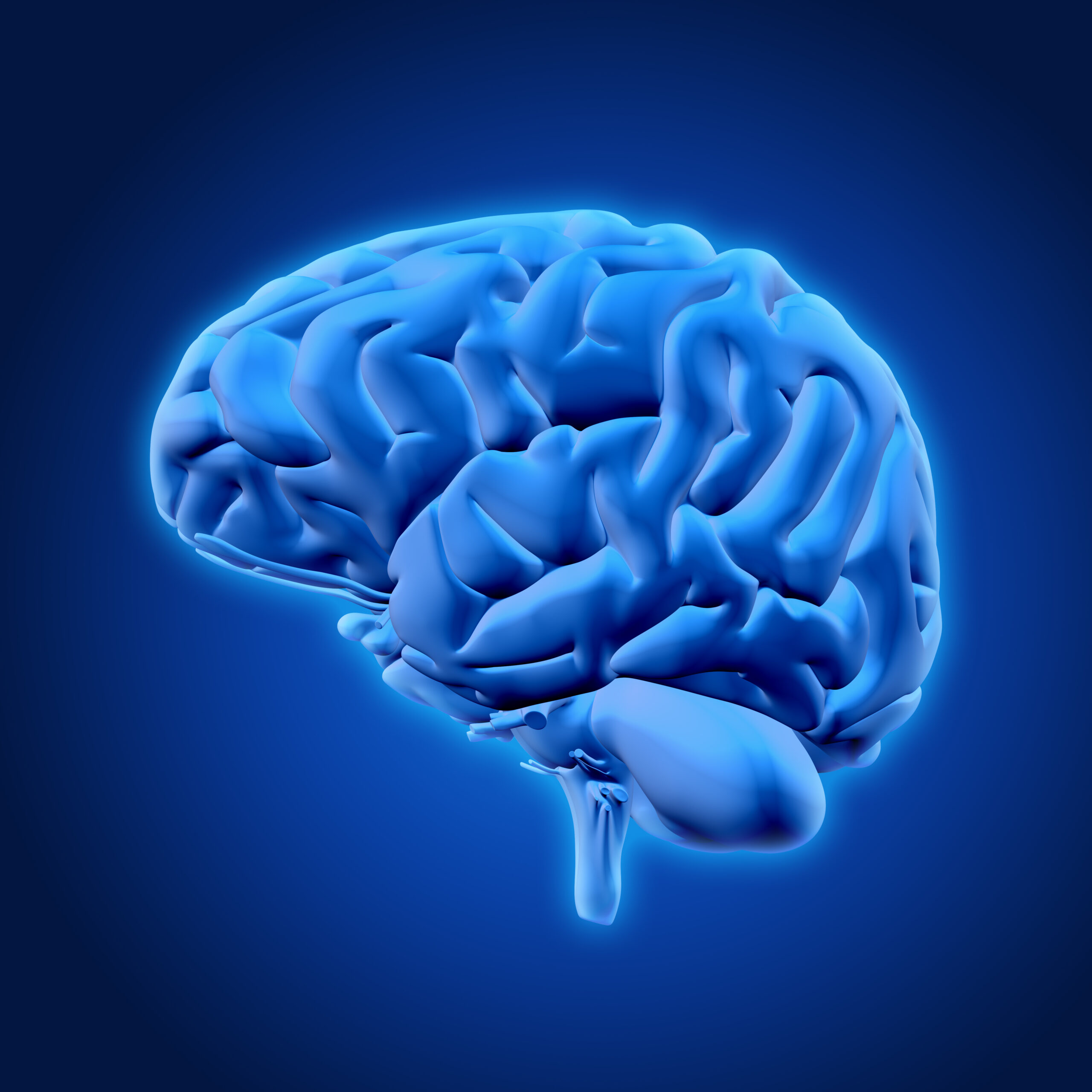 i benefici della creatina vanno oltre a quelli sperimentati in palestra e arrivano a cervello e funzioni cognitive