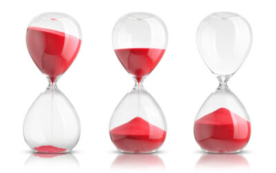 issa europe-come dimagrire velocemente esercizi consigli personal trainer sia dal punto di vista dell'attività fisica sia dell'alimentazione